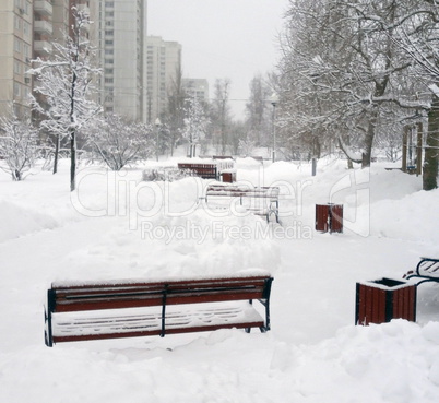 city park after snowfall at day