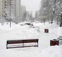 city park after snowfall at day