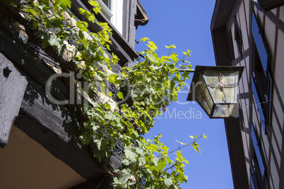City of Gengenbach, half-timbered house with red roses