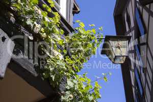 City of Gengenbach, half-timbered house with red roses