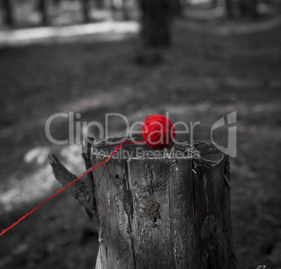 Red wool ball of yarn for knitting lying on a tree stump