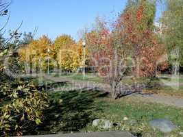 Autumn in city park at dry sunny day