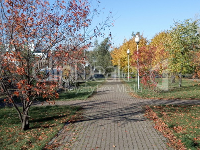 Autumn in city park at dry sunny day