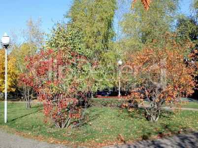 Autumn in city park at dry sunny day