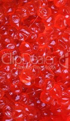 red caviar at dry sunny day day