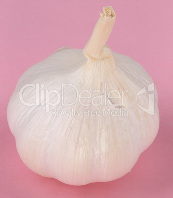 Garlic on Pink Background