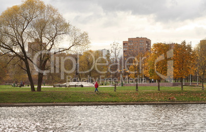 autumn in city park