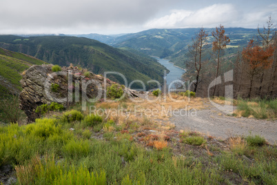 Camino de Santiago trail, Asturias, Spain