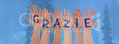 Many Hands Building Grazie Means Thank You, Cold Winter Forest