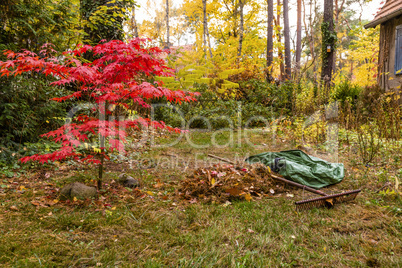 Laubharken im Garten im Herbst, raking of leaves in a garden in