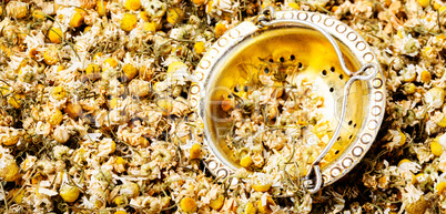 Dried chamomile buttons