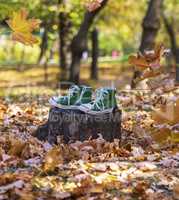 pair of old green gym shoes stand on a stump