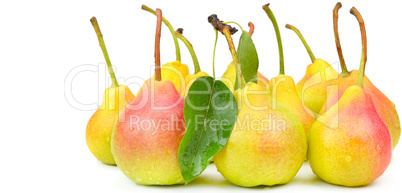 Ripe appetizing pears isolated on white background. Wide photo .