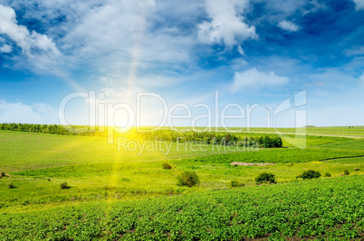 Hilly green field , sun rise and windmill on blue sky background