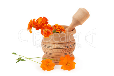 Wooden pestle and mortar isolated on white background