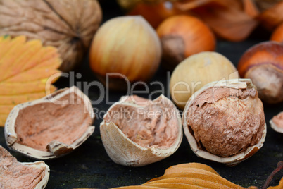 Peeled hazelnut close up