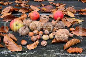 Walnuts, hazelnuts and wild apples