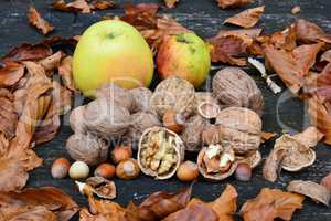 Heap of walnuts and hazelnuts