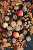 Hazelnuts, walnuts and wild apples, top view