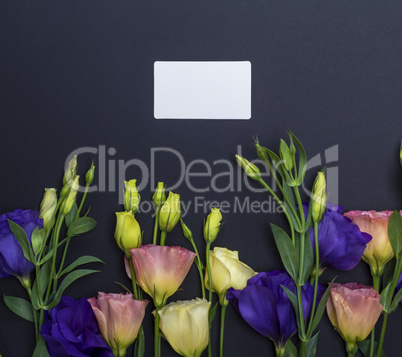 flowers Eustoma Lisianthus and empty paper card