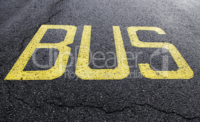 Bus signal on the asphalt