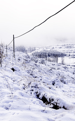 Snowy field on the mountain in winter