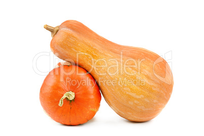 Ripe pumpkins isolated on white background.