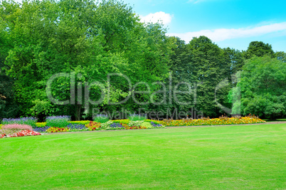 Summer garden with beautiful flowerbeds and meadow.