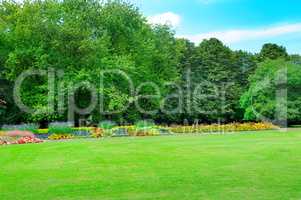 Summer garden with beautiful flowerbeds and meadow.