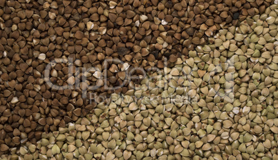 Natural fresh buckwheat and green buckwheat as background.