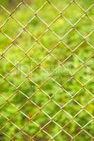 Fence with green background