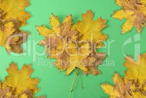 yellow dry maple leaves on a green background