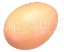 chicken egg isolated