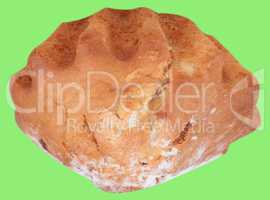 cake bun with sugar dust isolated
