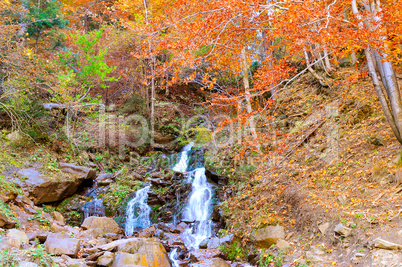 Beautiful waterfall in the Carpathians, Ukraine. Autumn forest a