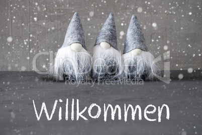 Three Gray Gnomes, Cement, Snowflakes, Willkommen Means Welcome