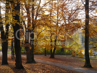 Special autumn in Munich