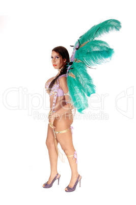 Beautiful woman in a colorful carnival outfit standing