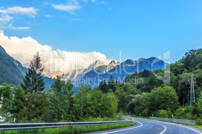 Road in the forest in the Austrian Alps