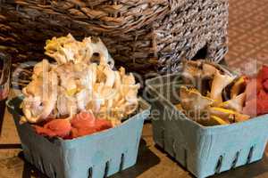 Farm basket container filled with natural mushrooms