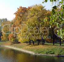 Autumn in City Park