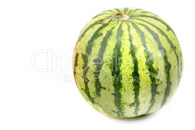 round watermelon isolated on white background. Free space for te