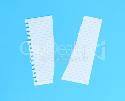 torn in half white blank sheet in line on blue background