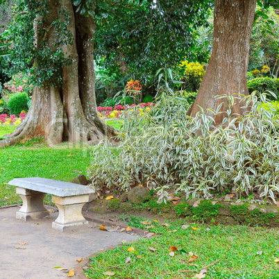 Beautiful tropical park and stone bench for relaxation.
