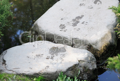 japan garden