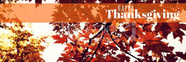 Composite image of digitally generated image of happy thanksgiving text
