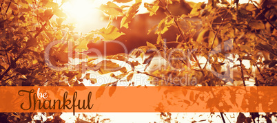 Composite image of thanksgiving greeting text