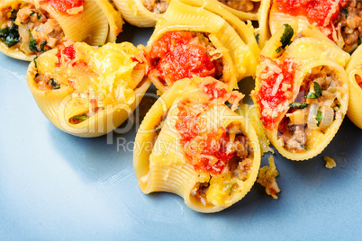 Pasta stuffed with meat