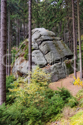 National Park Saxon Switzerland in Saxony