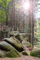National Park Saxon Switzerland in Saxony